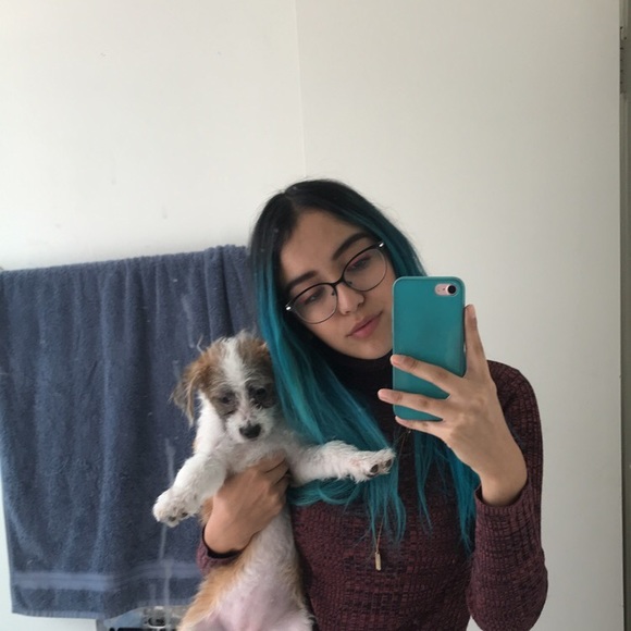 Meet your Posher, Jazmin - Picture 4 of 5